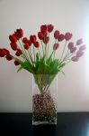 Decor Tulip